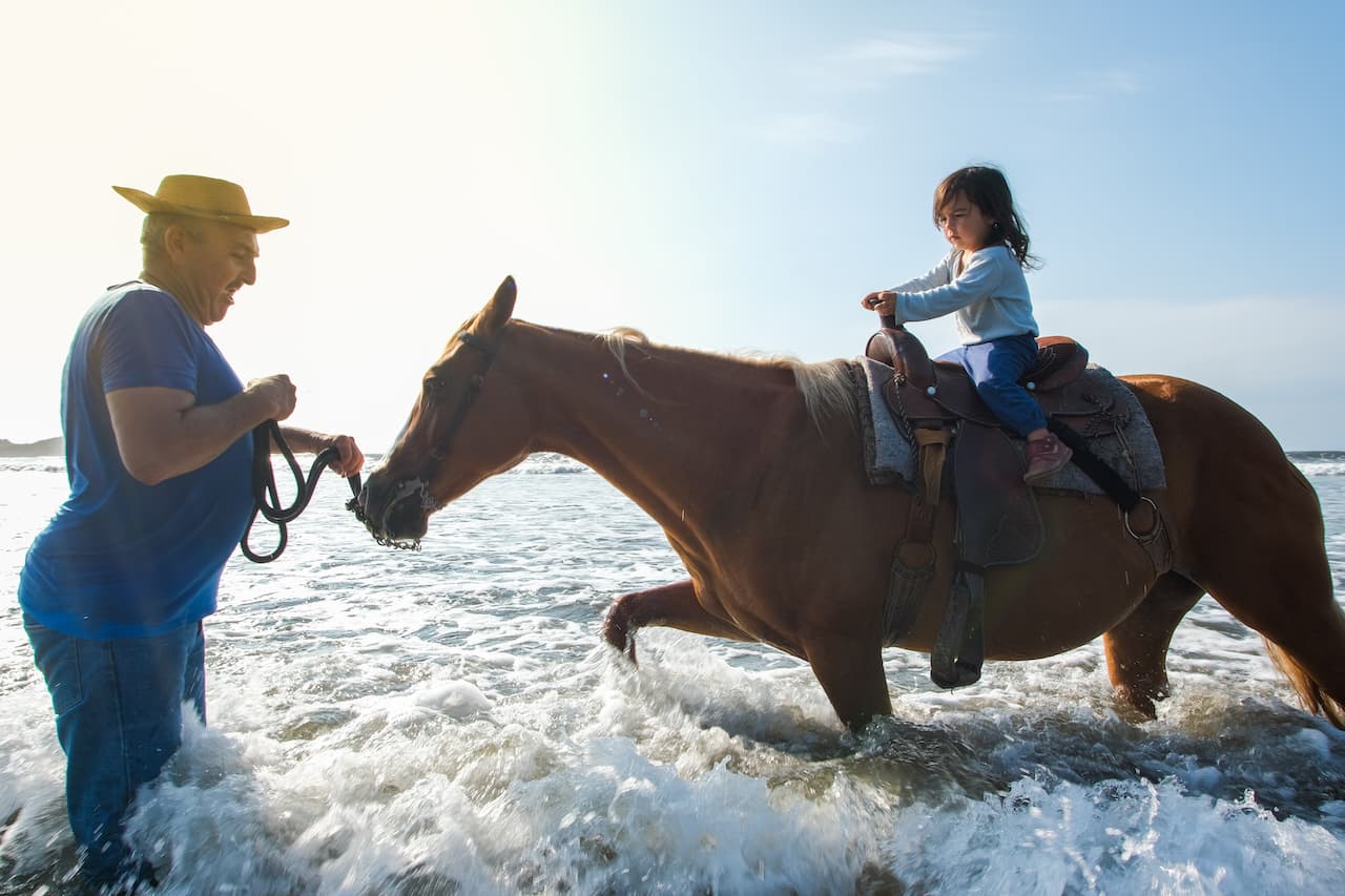 Horseback Riding
