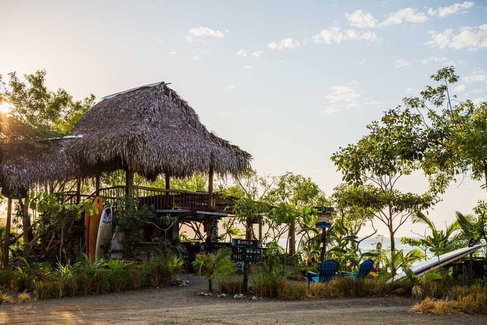 The Surf Dojo