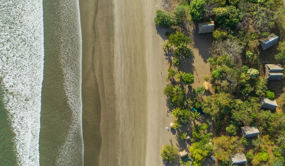 Aerial view of Eco Venao's 140-hectare reforestation project