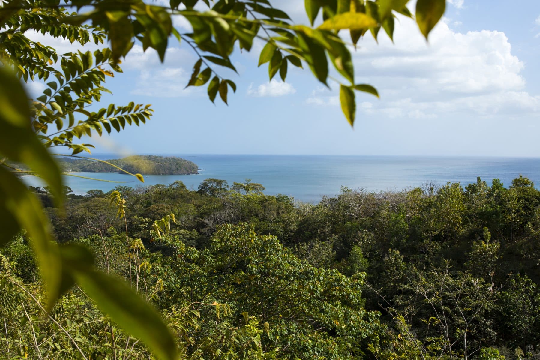 Aerial view of Eco Venao's forested coastline at Playa Venao
