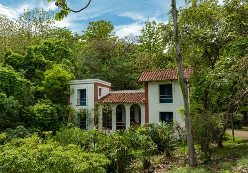 Casa Mango — photo 4