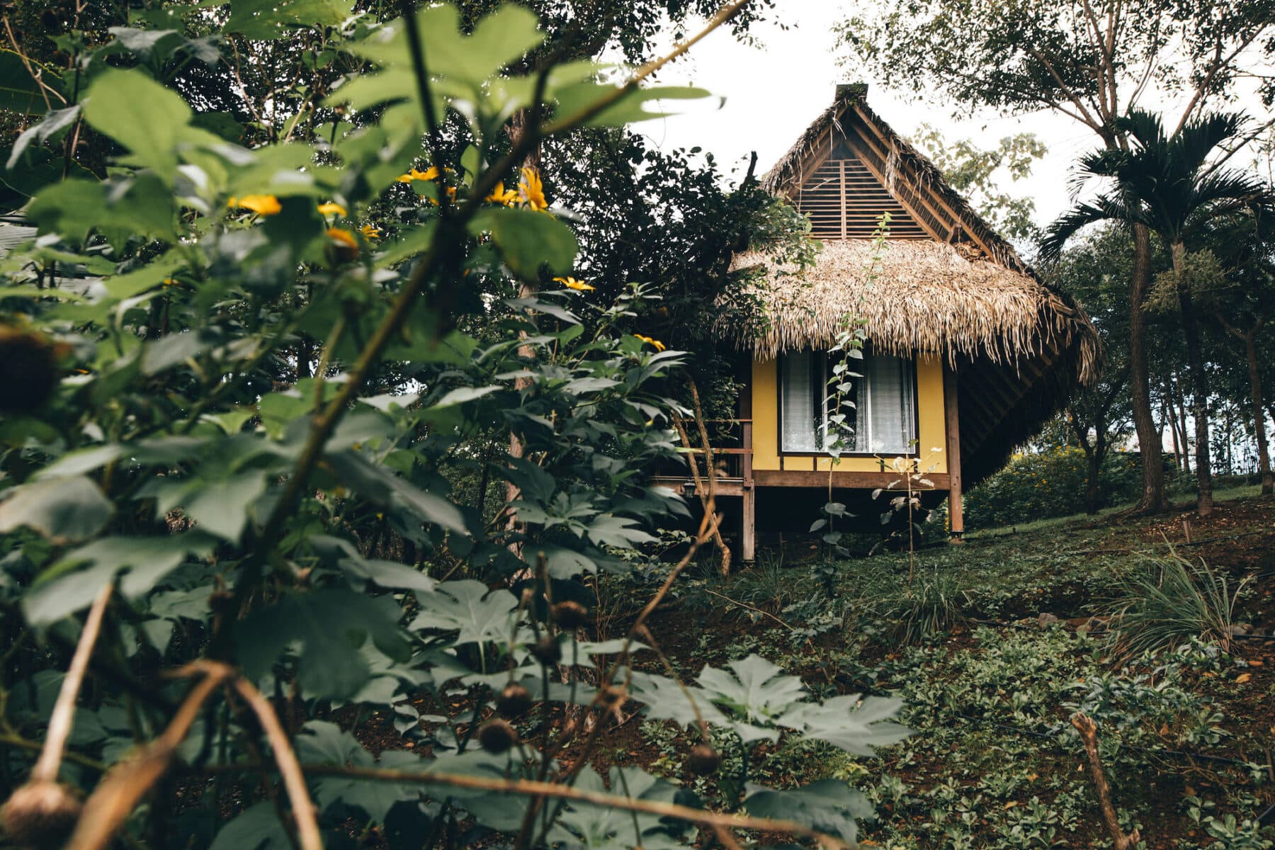 Surfer's Hostel